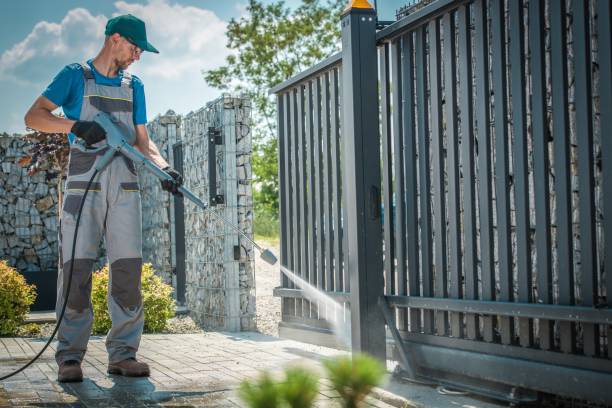 Best Solar Panel Cleaning  in Williston Park, NY