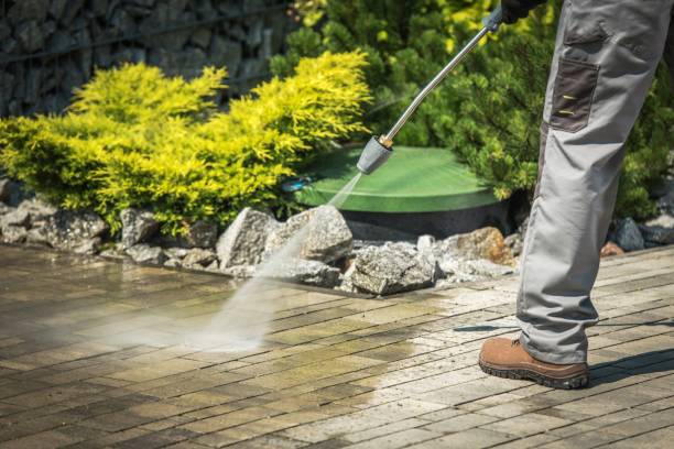 Best Winterizing Services  in Williston Park, NY