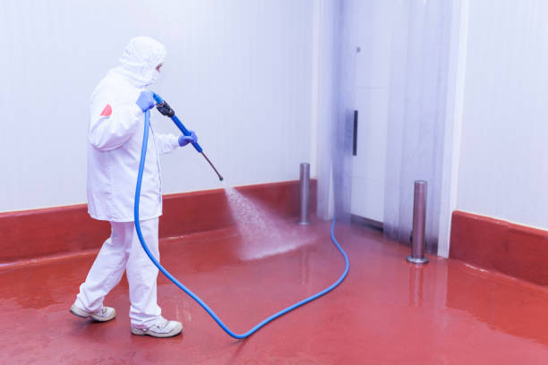 Best Post-Construction Pressure Washing  in Williston Park, NY