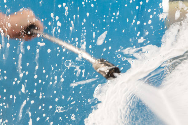 Best Dumpster Area Cleaning  in Williston Park, NY